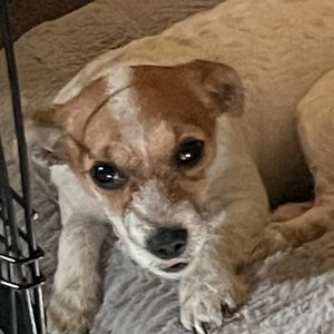 Meet your Posher, Nataly